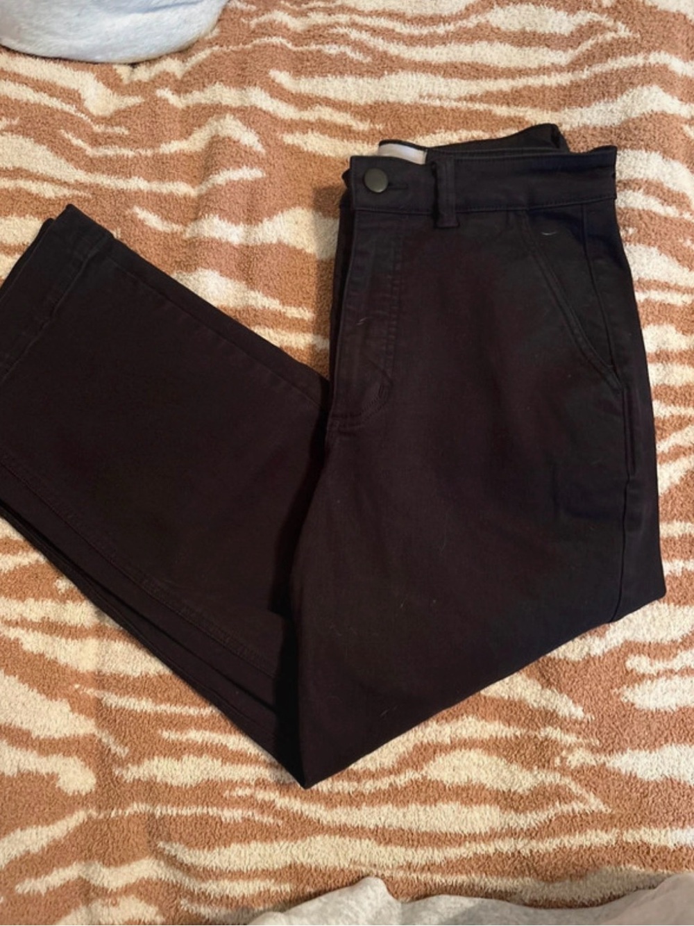 Everlane Black Casual Pants - Classic Fit
